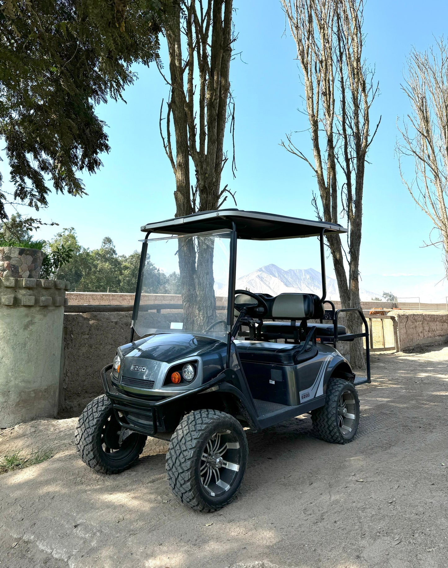 EXPRESS S4 - Semi nuevo