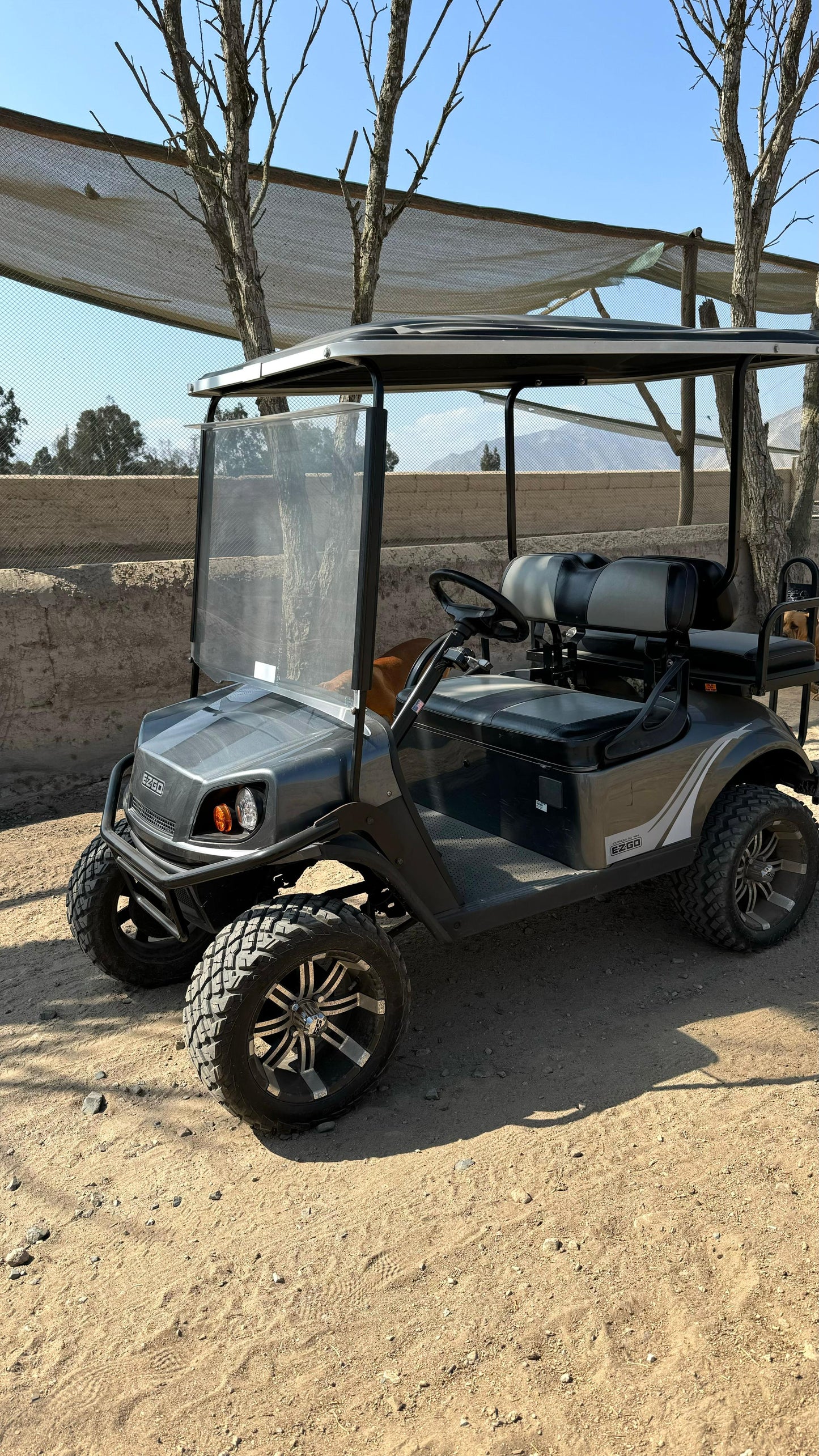 EXPRESS S4 - Semi nuevo